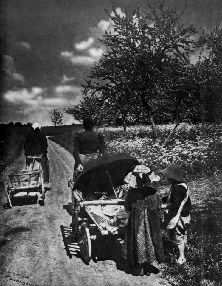 Peter Scherer Auf dem Weg zum Feld