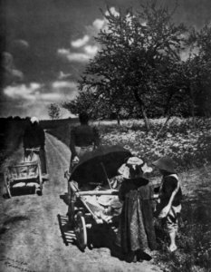 Peter Scherer Auf dem Weg zum Feld