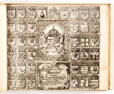 Pergamentband, Sweriges rijkes ridderskaps och adels wapenbook... - Skoklosters slott - 93430