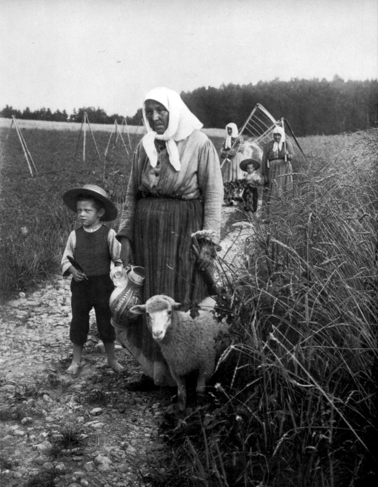 Peter Scherer Bei der Ernte