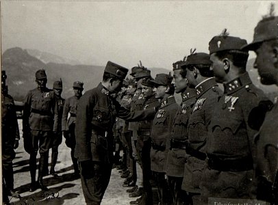 Pergine bei Levico. Besichtigung einer Fliegerkompagnie durch Kaiser Karl I. (BildID 15640998)