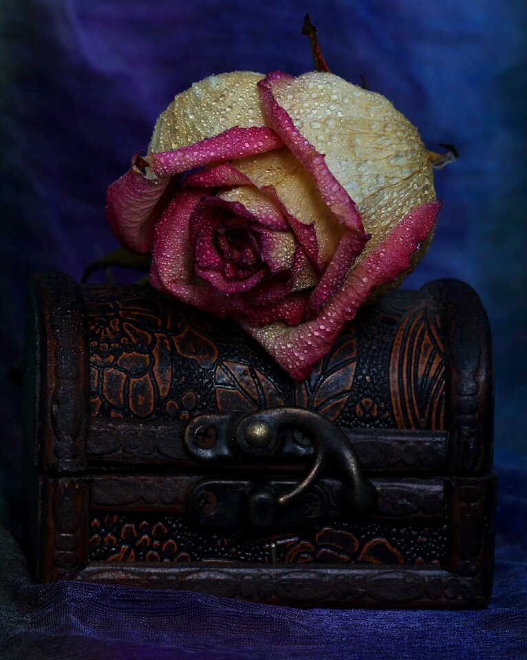 Jewelry box flower dry