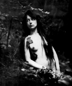 Peter Scherer Maid im Wald photo