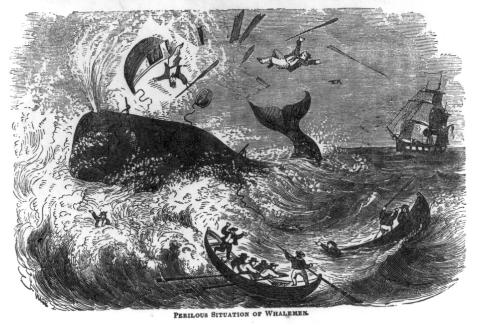Perilous situation of whalemen LCCN2003680175