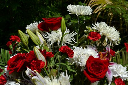 Living creation flowers
