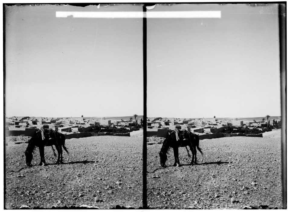Petra in Transjordan. General view of el-Ma'an LOC matpc.01626