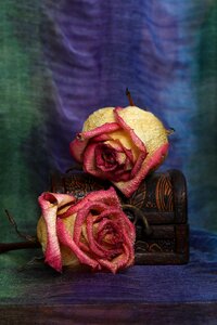 Jewelry box flower dry