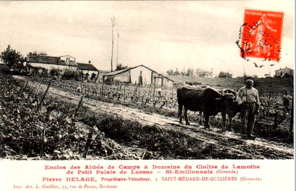 Petit-Palais - enclos des Abbés de camps