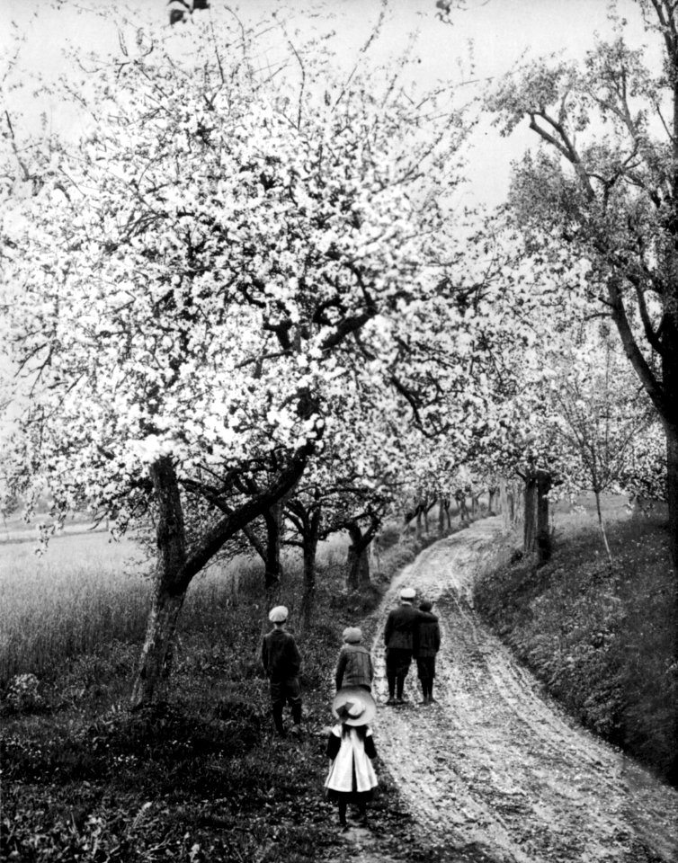 Peter Scherer Frühling