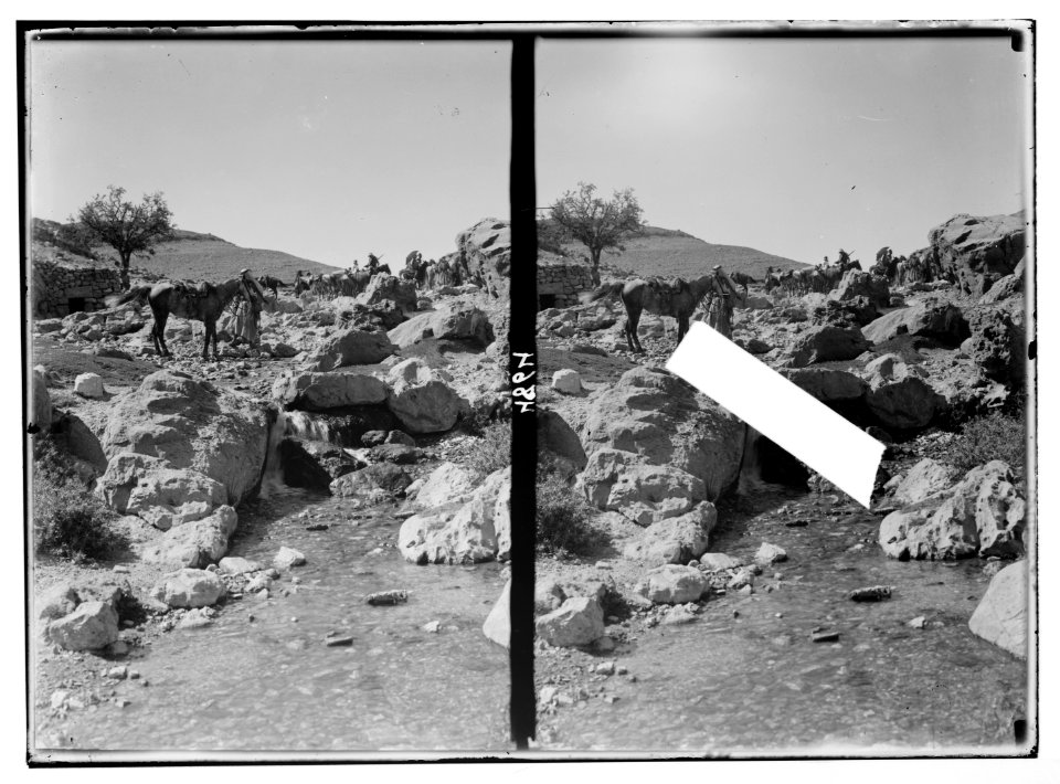 Petra (Wadi Musa). Ain Mus. Spring of Moses, near Eldji on road from Ma'an LOC matpc.03066