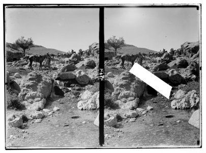 Petra (Wadi Musa). Ain Mus. Spring of Moses, near Eldji on road from Ma'an LOC matpc.03066