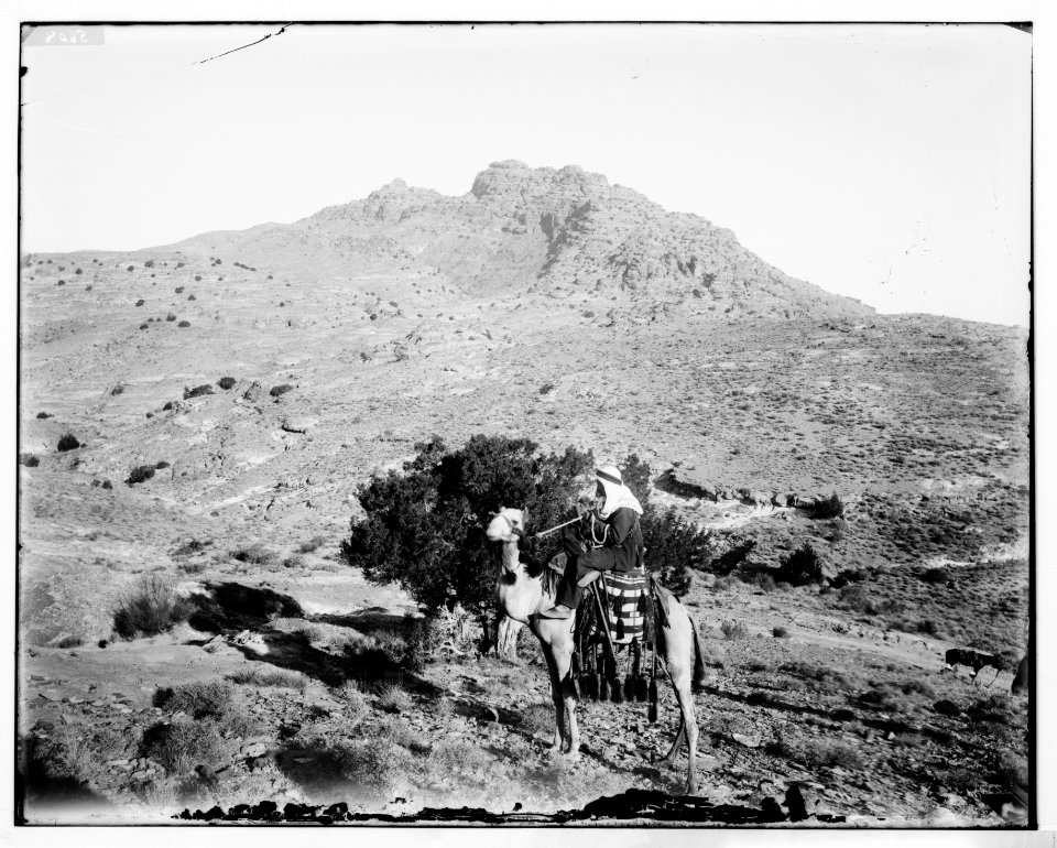 Petra. Mount Hor LOC matpc.06941