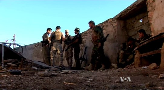 PeshmergasSinjar2015-1