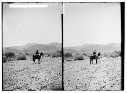 Petra in Transjordan. Distant view of Mt. Hor, Jebel Harun LOC matpc.01682
