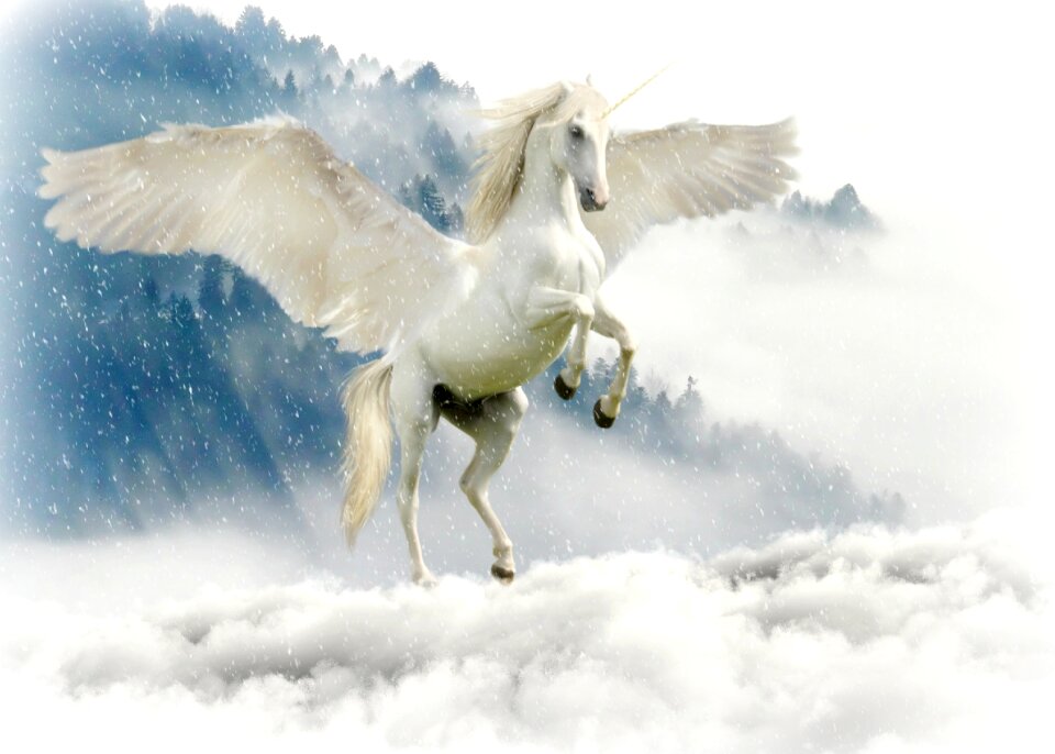 Mystical horse wing