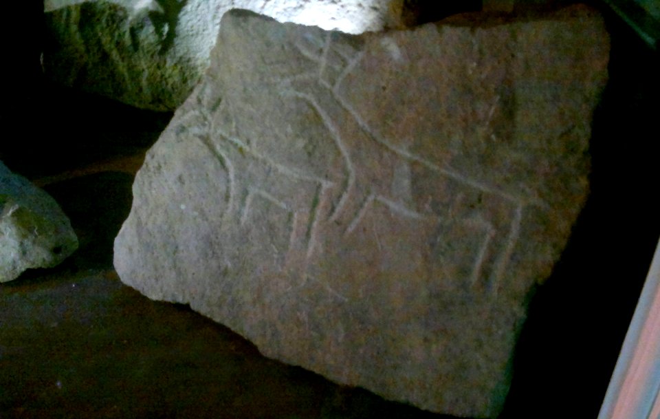 Petroglyphs from Shuvalan