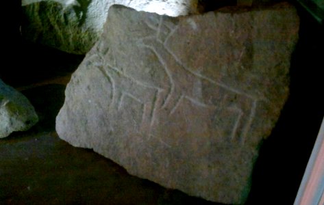 Petroglyphs from Shuvalan