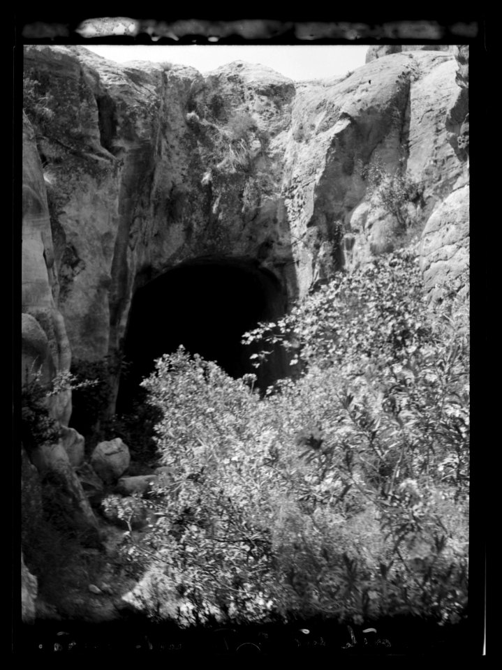 Petra. (Wadi Musa). El Muzlim tunnel. Looking into the tunnel from the north end with blooming oleanders in foreground LOC matpc.16263