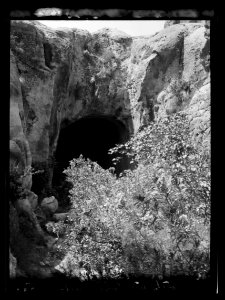 Petra. (Wadi Musa). El Muzlim tunnel. Looking into the tunnel from the north end with blooming oleanders in foreground LOC matpc.16263