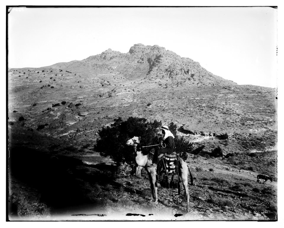 Petra. Mount Hor LOC matpc.06938