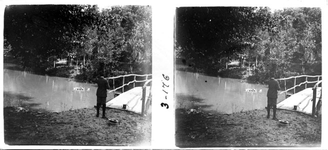 Petit pont i estanc amb ànecs a Sant Hilari Sacalm