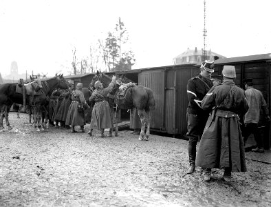 Pferdeverlad auf Eisenbahn - CH-BAR - 3236660