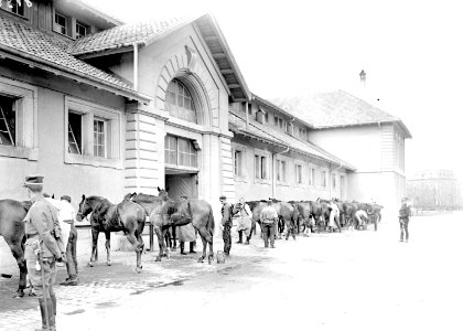 Pflege der Pferde in der Kavallerie Rekrutenschule - CH-BAR - 3239496 photo