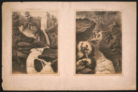 Philadelphia, Pa. In Roberts' Hollow oppost. Laurel Hill Ravine below Laurel Hill Philada. - - A Kollner. LCCN2014649370