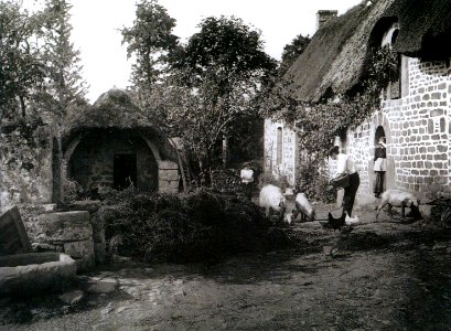 Philippe Tassier Saint-Avoye Cour de ferme