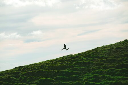 Green grass highland