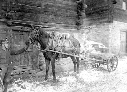 Pferd mit Bastsattel und Wagen der Infanterie Mitrailleure - CH-BAR - 3239281