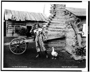 Phoebe and the goose LCCN90713612