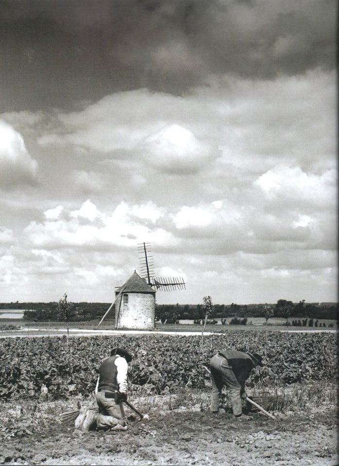 Philippe Tassier Clohars-Carnoët Moulin de Keranquernat