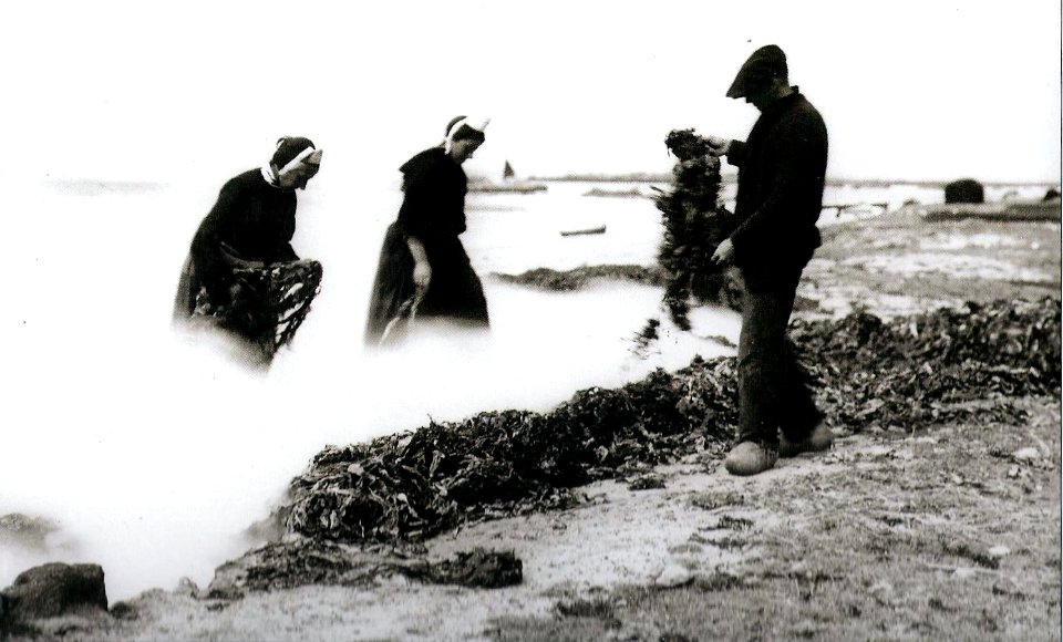 Philippe Tassier Penmarc'h Les brûleurs de goémon