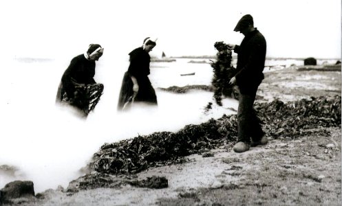 Philippe Tassier Penmarc'h Les brûleurs de goémon