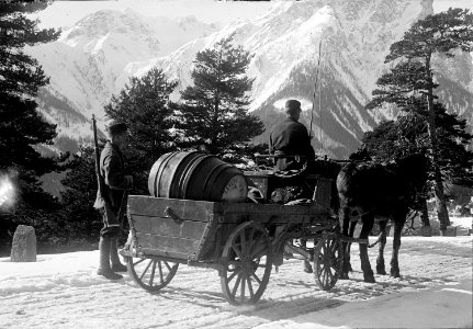 Pferdefuhrwerk - CH-BAR - 3237128