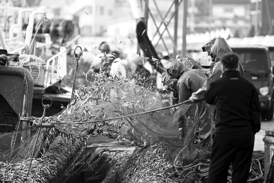 Fish sea fisherman
