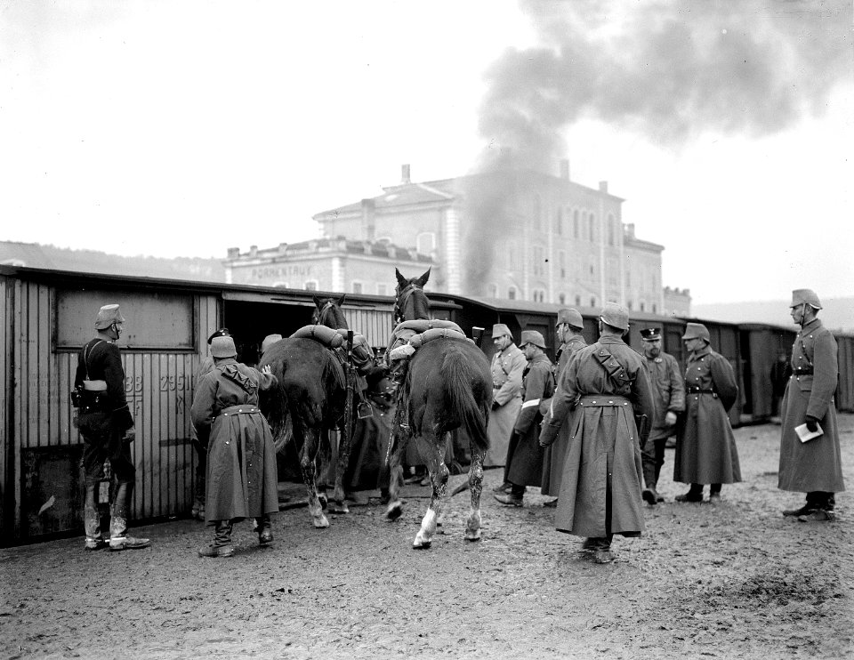 Pferdeverlad auf Eisenbahn - CH-BAR - 3236661