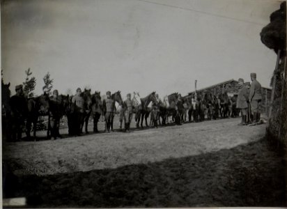 Pferdevisite beim Divisionskommando (BildID 15446542)