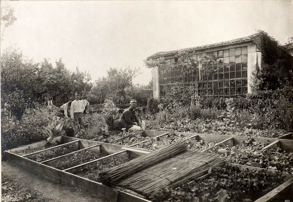 Pflanzengarten im Feldspital, Wippach. (BildID 15600956)