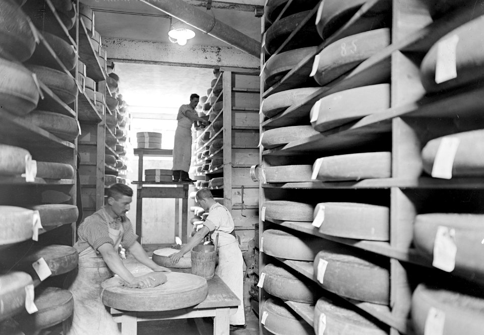 Pflege des Käses im Armeekäsekeller - CH-BAR - 3239071
