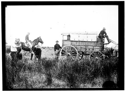 PHILIPPINES. SIGNAL CORPS CONSTRUCTING LINES IN THE ISLANDS LCCN2016866478