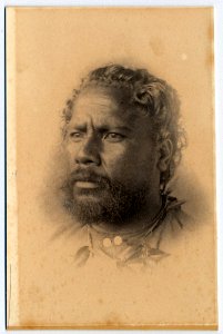 Photograph (black and white); a portrait of a man with a moustache and a beard; a leaf necklace around his neck with two metal round objects hanging Albumen print. Oc,B18.2, British Museum