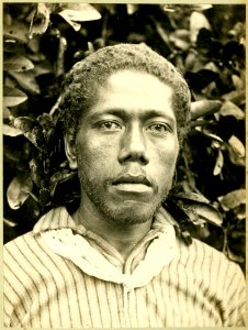 Photograph (black and white); cabinet card; portrait of a man, in front of a bush, wearing a striped shirt and a piece of cloth tied around his neck; Tonga. Gelatin silver print. Oc,B42.9, British Museum