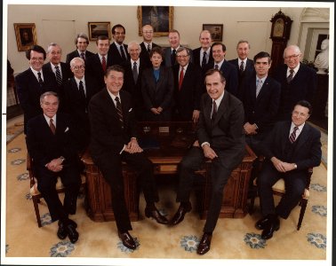Photograph of 1981 Cabinet - Class Photo - NARA - 198510