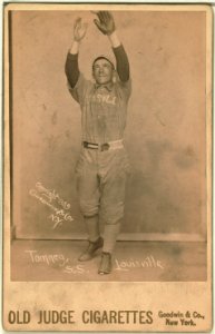 Phil Tomney, Louisville Colonels, baseball card portrait LCCN2007683765 photo