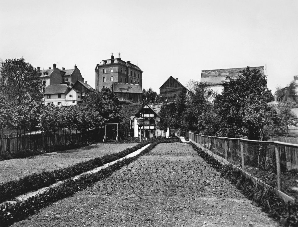 Pett bauernwirt 1910