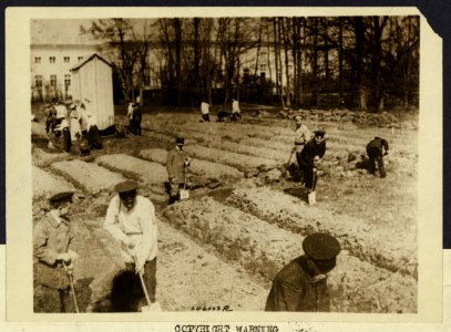 Photo of the late Czar and his family working in garden LCCN2007683267