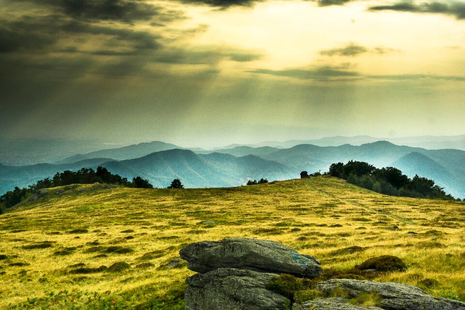 Top hill nature