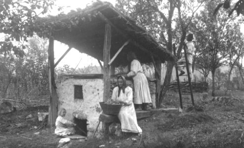 Pečnica za sušenje sadja v Adlešičih